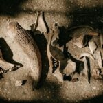 Les grandes femmes de la préhistoire redéfinissent notre compréhension du passé