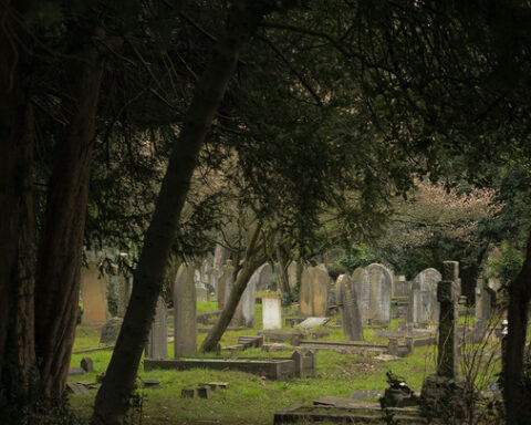 Les pensées des premiers humains sur l'inhumation de leurs morts