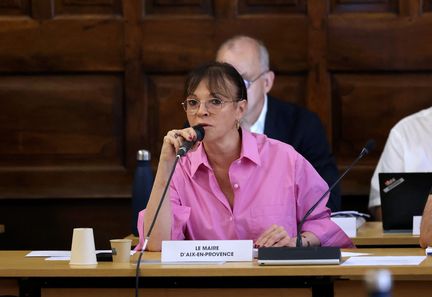 Municipales 2026 : L'UDI nomme 180 référents, incluant Sophie Joissains, maire d'Aix-en-Provence.