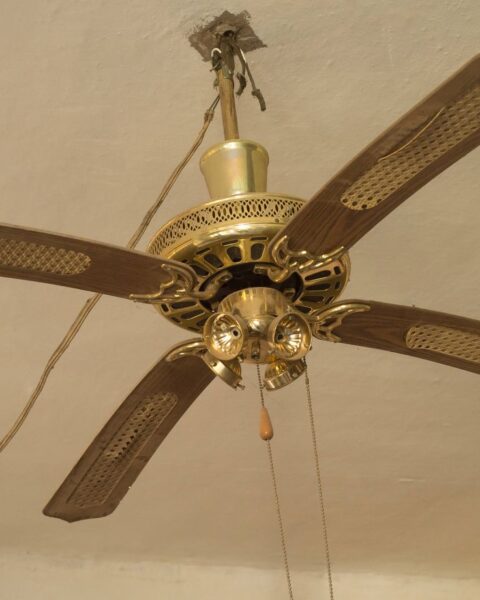 Où se trouvent les ventilateurs de plafond pendant cette vague de chaleur ?