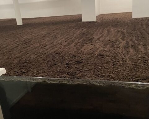 Un appartement mystérieux rempli de 127 tonnes de terre découvert à New York