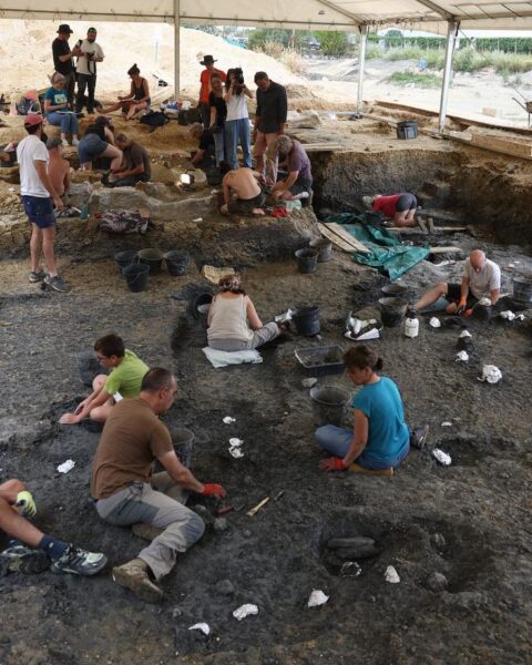 Un dinosaure de 140 millions d'années découvert en Charente