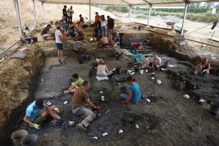 Un dinosaure de 140 millions d'années découvert en Charente