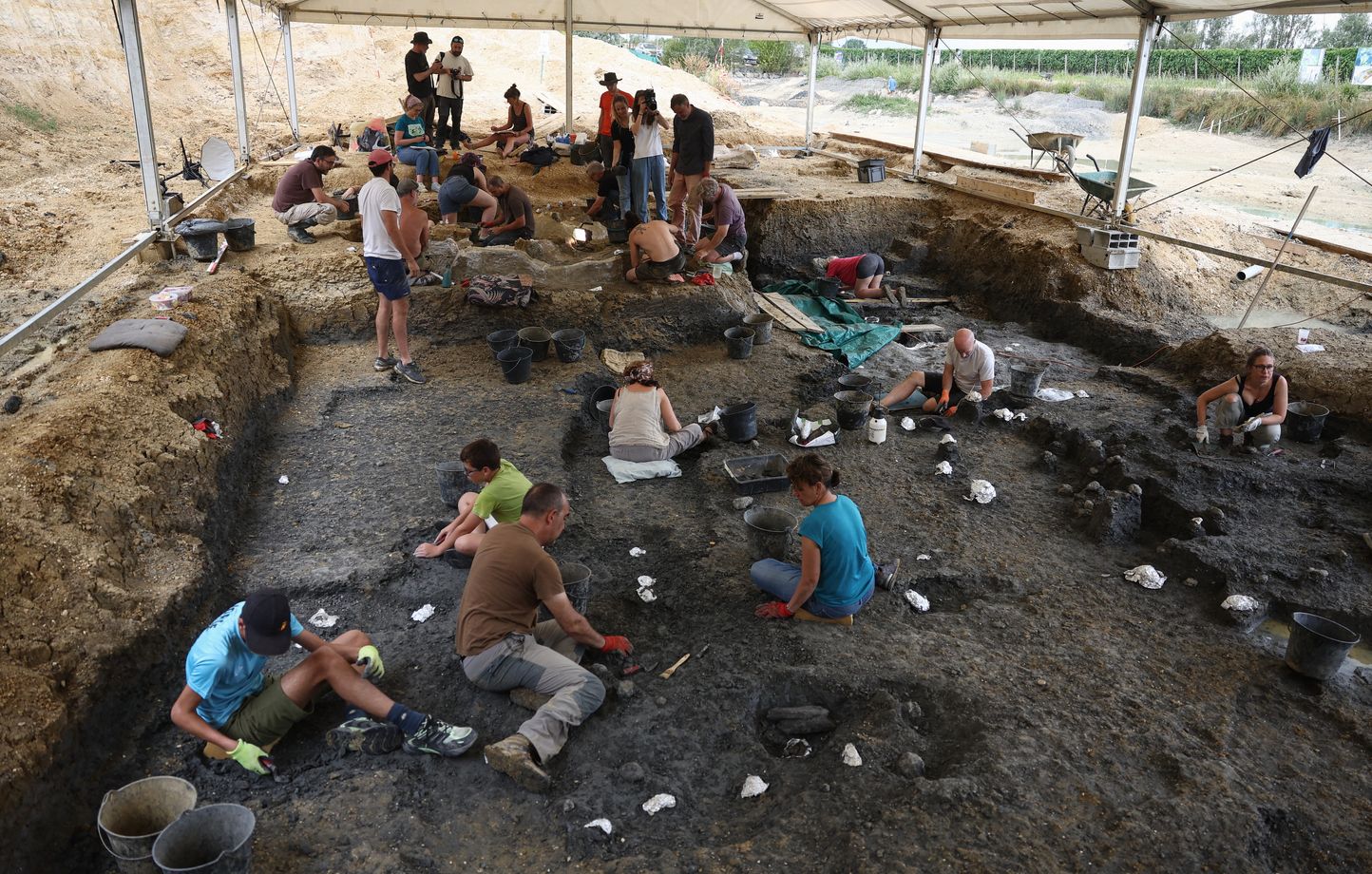 Un dinosaure de 140 millions d'années découvert en Charente