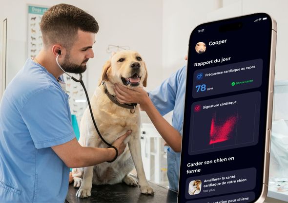 Un dispositif GPS pour surveiller la santé des chiens en laisse