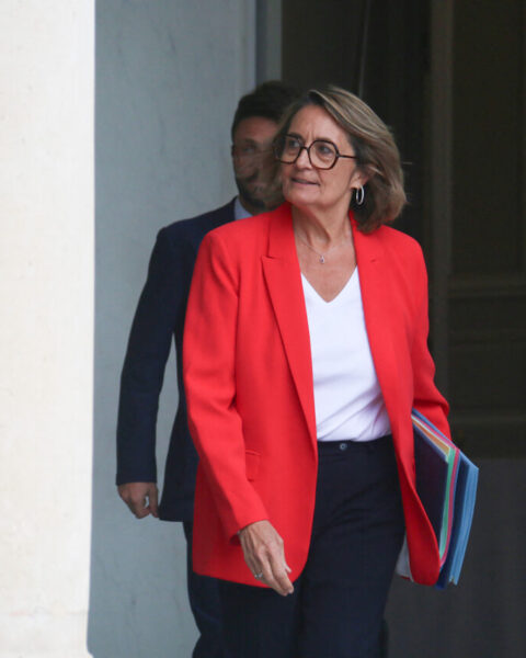 "Un lobbyiste de la FNSEA intègre le cabinet d'une ministre : est-ce légal ?"
