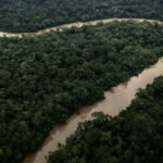 Un militant écologiste abattu dans son camion en Amazonie