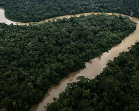 Un militant écologiste abattu dans son camion en Amazonie