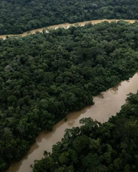 Un militant écologiste abattu dans son camion en Amazonie