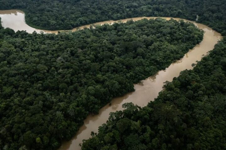 Un militant écologiste abattu dans son camion en Amazonie