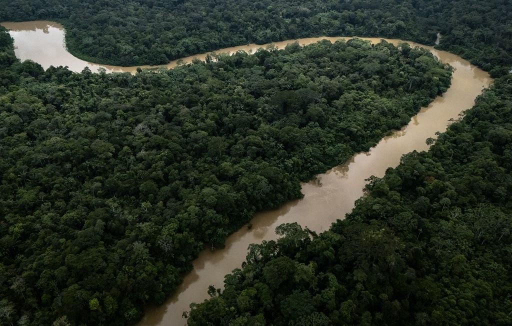 Un militant écologiste abattu dans son camion en Amazonie