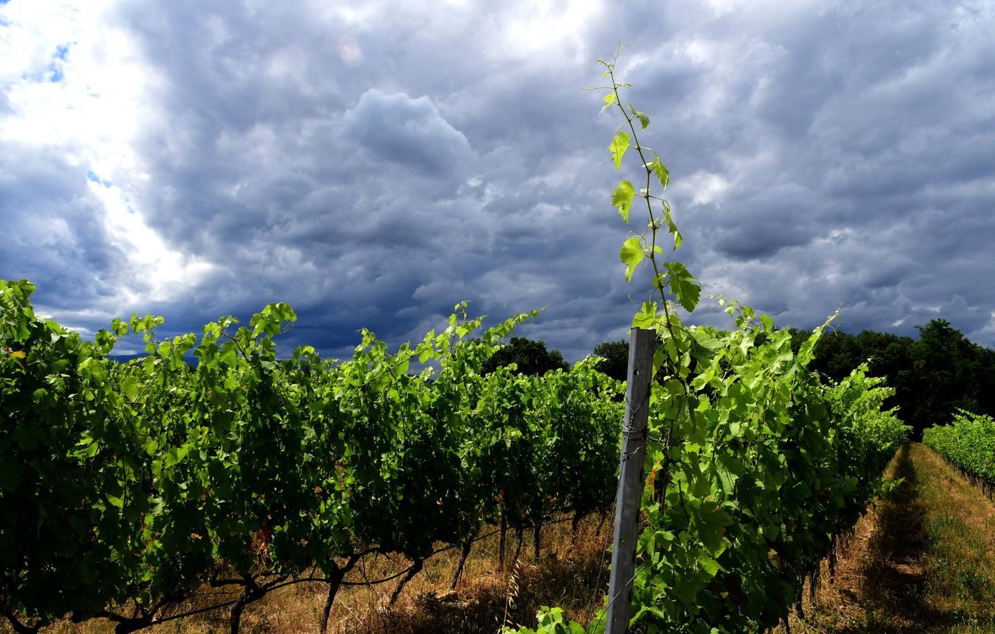 Alerte orange pour orages, pluies et inondations dans l'Hérault, le Gard et la Lozère