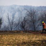 Après l'incendie dans l'Aude, l'ONF entame un long chantier de réhabilitation