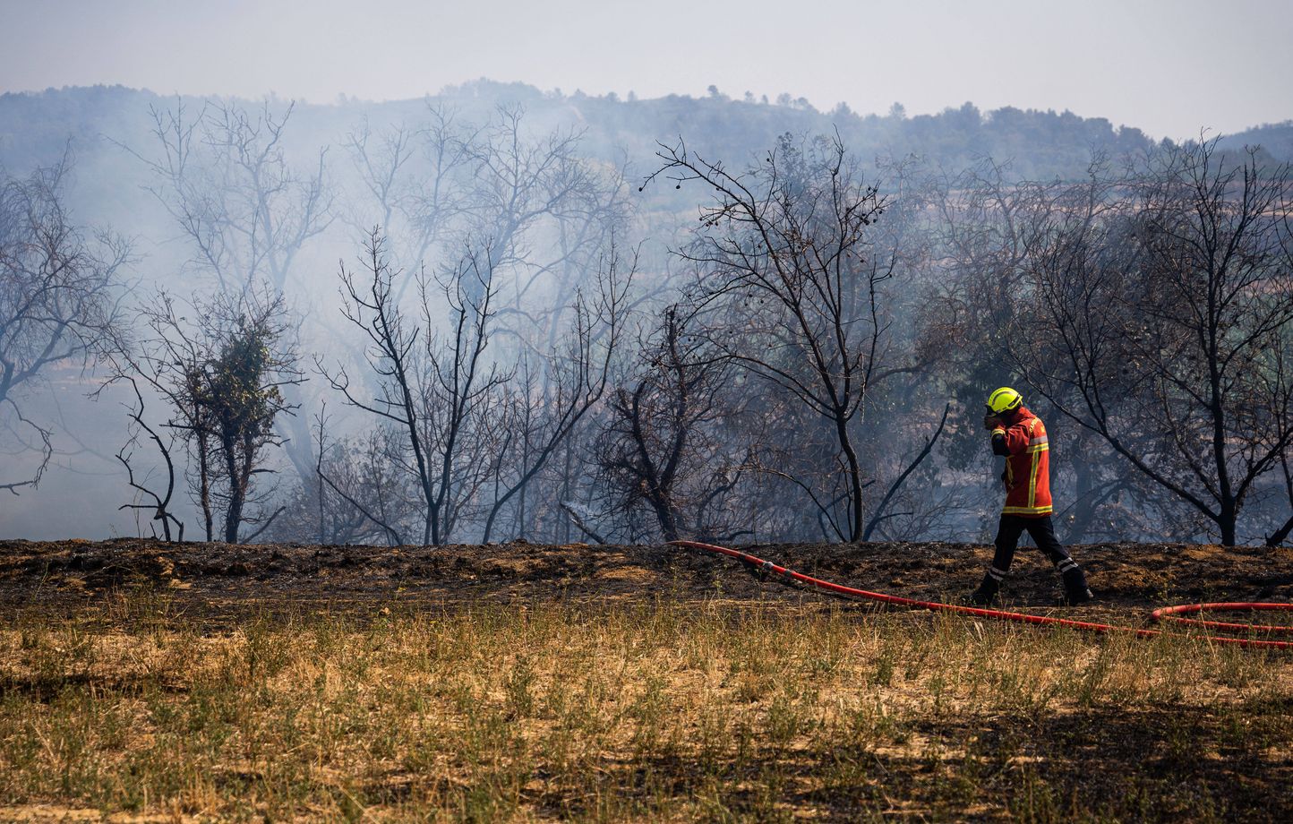 Après l'incendie dans l'Aude, l'ONF entame un long chantier de réhabilitation
