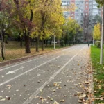 Après une vague de chaleur, un retour soudain de l'automne prévu dès la semaine prochaine.