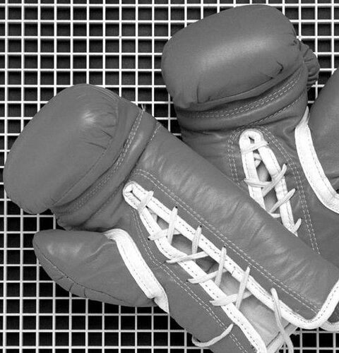 Boxe : Un deuxième boxeur japonais perd la vie à la suite de ses blessures, un jour après un tragique incident survenu lors des mêmes combats.