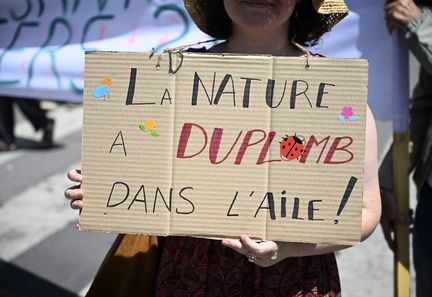 Censure de la loi Duplomb : la décision du Conseil constitutionnel renforce la Charte de l'environnement.