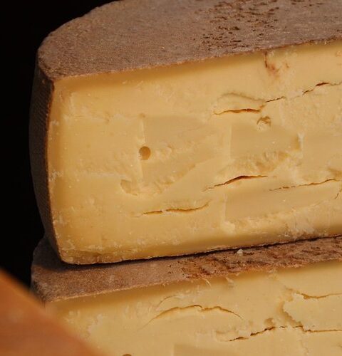 De nouveaux cas de listériose signalés en Europe, l'ECDC évoque une épidémie internationale