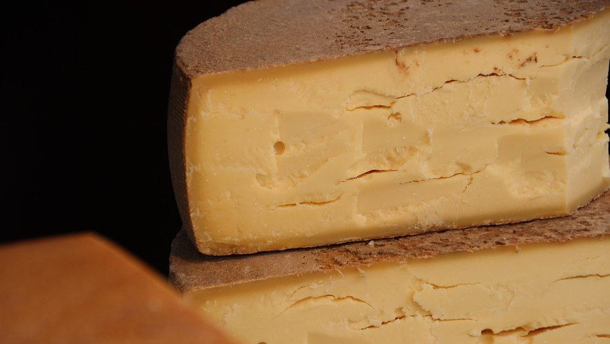 De nouveaux cas de listériose signalés en Europe, l'ECDC évoque une épidémie internationale