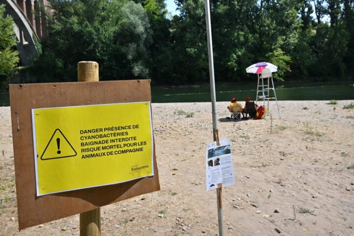"Des cyanobactéries interdisent la baignade sur la plage de Rabastens depuis un mois, un panneau qui dissuade les baigneurs."