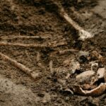 Des fosses datant de 4.300 à 4.150 av. J.-C. révèlent des massacres en Alsace