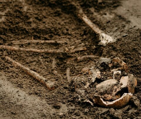 Des fosses datant de 4.300 à 4.150 av. J.-C. révèlent des massacres en Alsace