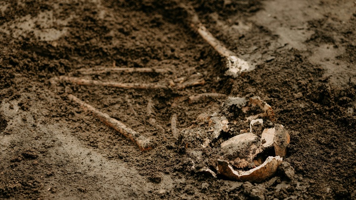 Des fosses datant de 4.300 à 4.150 av. J.-C. révèlent des massacres en Alsace