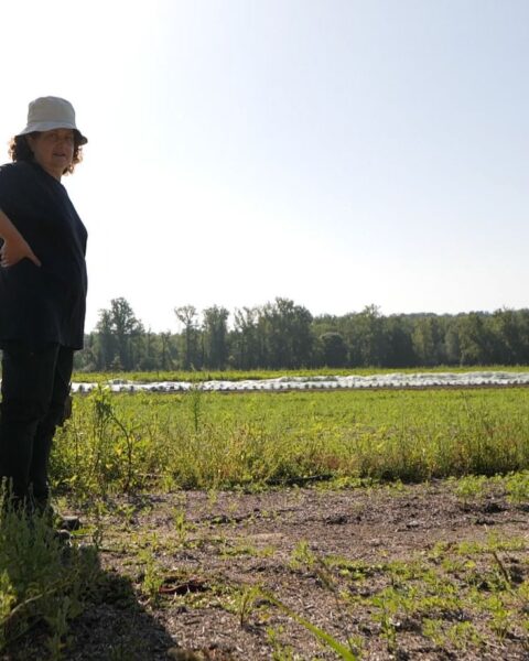 Hélène, agricultrice, appelle à signer la pétition contre la loi Duplomb