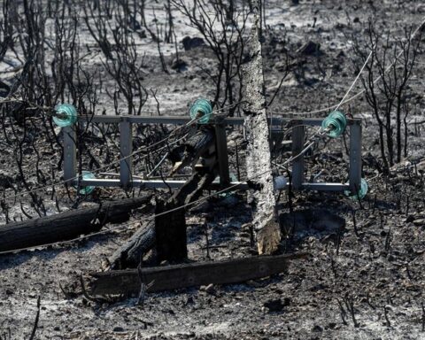 Incendie dans l'Aude : la maîtrise des flammes attendue d'ici dimanche soir, 1400 pompiers toujours engagés sur le terrain.