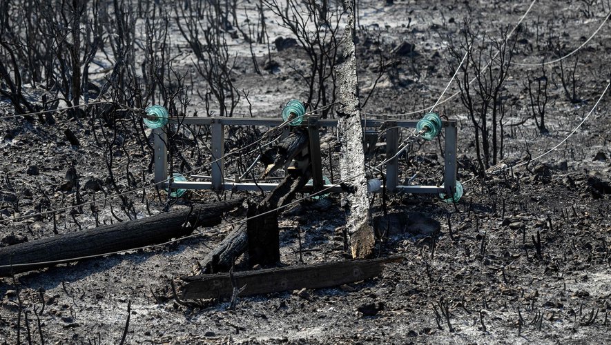Incendie dans l'Aude : la maîtrise des flammes attendue d'ici dimanche soir, 1400 pompiers toujours engagés sur le terrain.