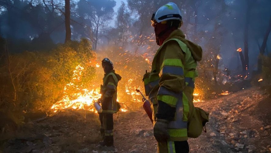 Incendies dans l’Union européenne : plus d’un million d’hectares brûlés depuis janvier 2025, un record historique