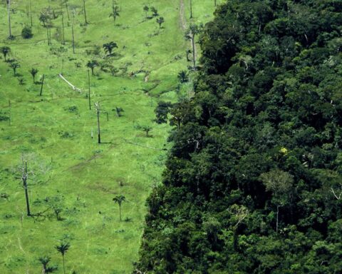 La COP30 au Brésil mise sur l'action concrète face aux enjeux climatiques