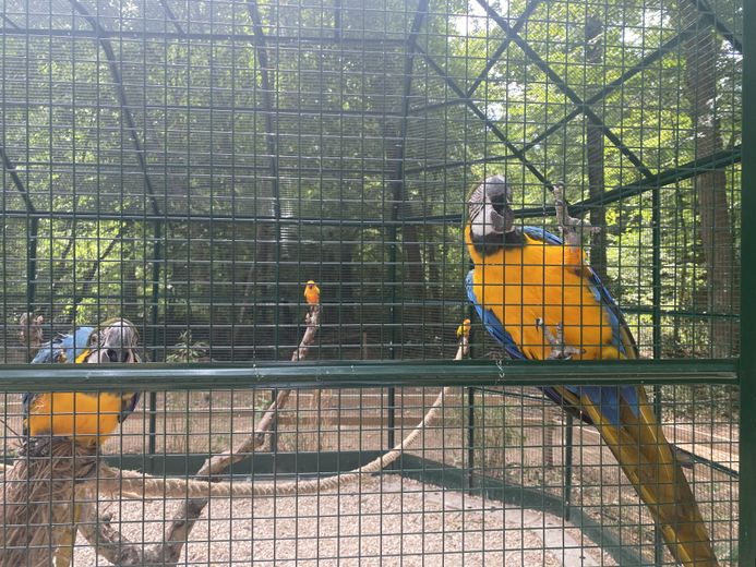 "La Ferme du Paradis : 15 ans d'engagement pour sauver des animaux maltraités ou menacés d'abattage"