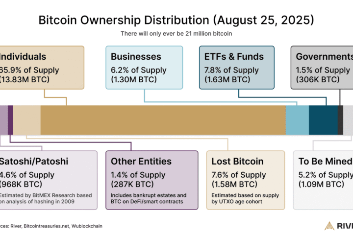 La majorité du bitcoin reste détenue par des particuliers, mais les institutions augmentent leur part selon une étude