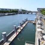 La Seine retrouve une biodiversité aquatique enrichie avec deux fois plus d'espèces de poissons qu'en 1970