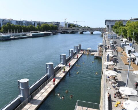 La Seine retrouve une biodiversité aquatique enrichie avec deux fois plus d'espèces de poissons qu'en 1970