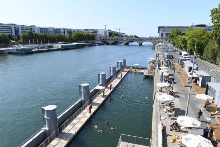 La Seine retrouve une biodiversité aquatique enrichie avec deux fois plus d'espèces de poissons qu'en 1970