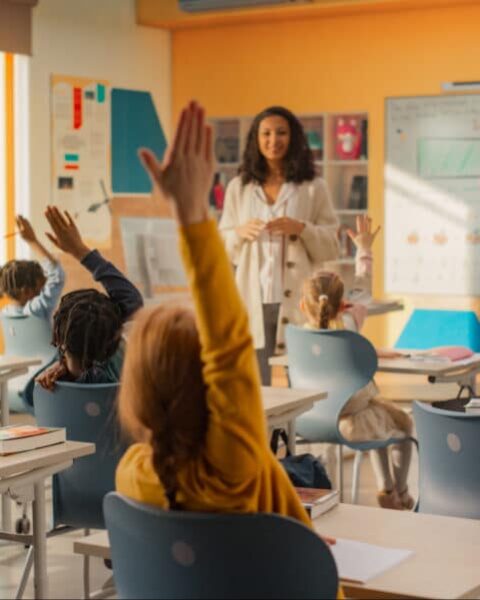 Le coût des fournitures scolaires diminue en France.