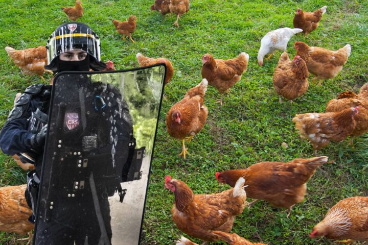 Les CRS chargés de surveiller la maison de Yaël Braun-Pivet s'occupent aussi de ses poules