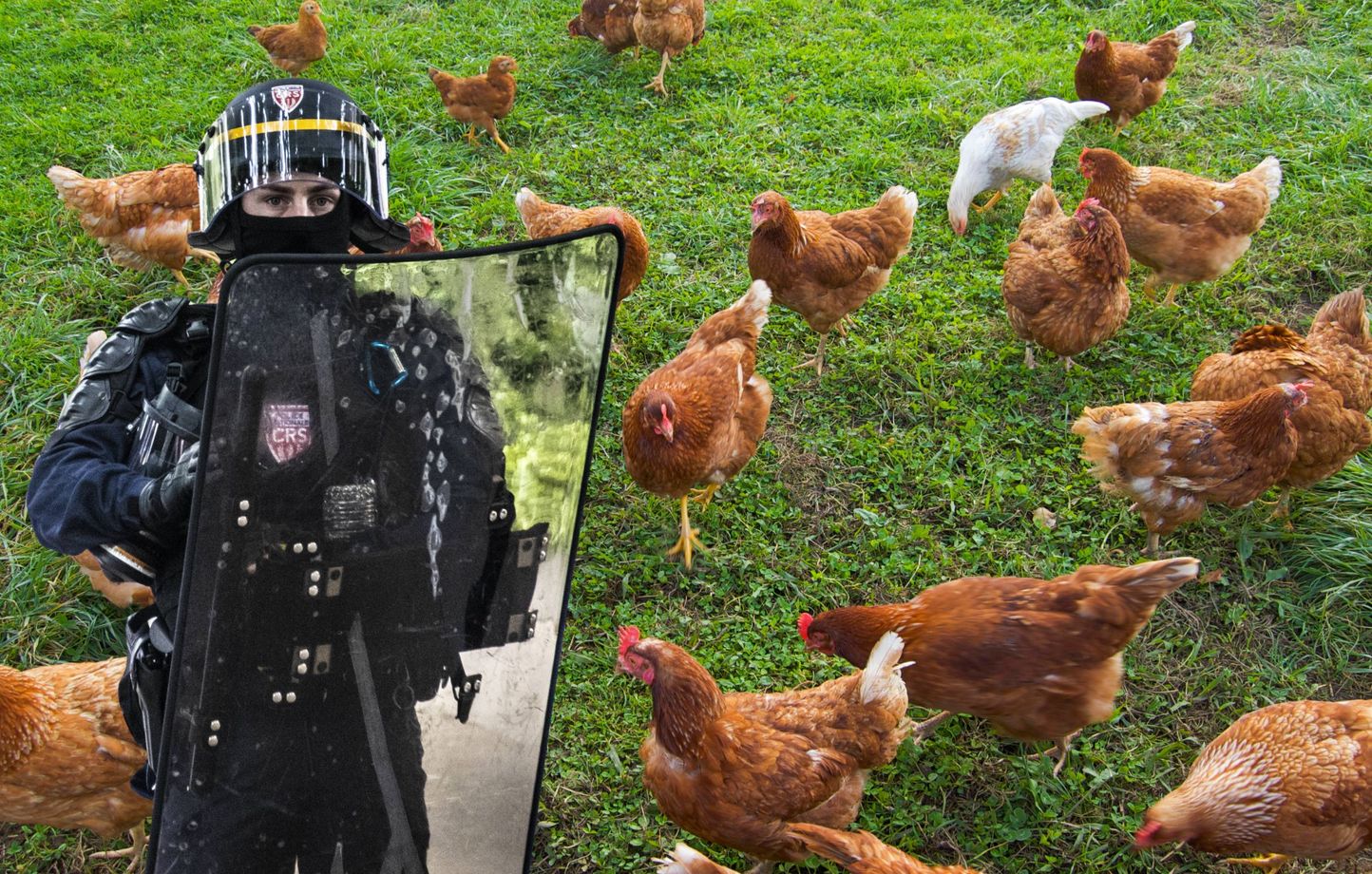Les CRS chargés de surveiller la maison de Yaël Braun-Pivet s'occupent aussi de ses poules