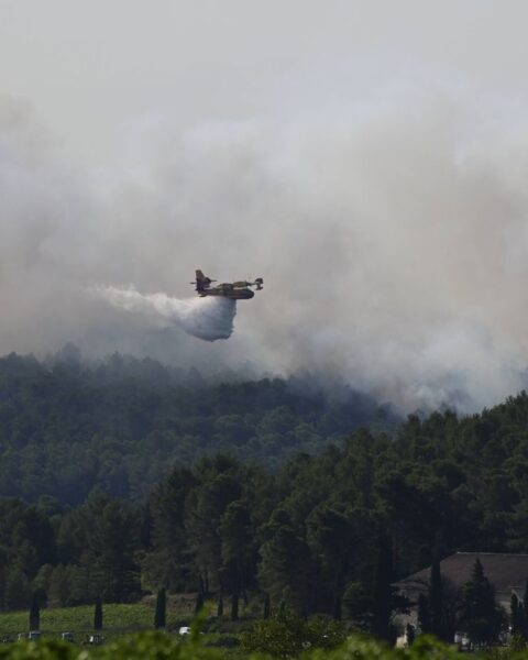Les incendies de forêt majeurs touchent la France