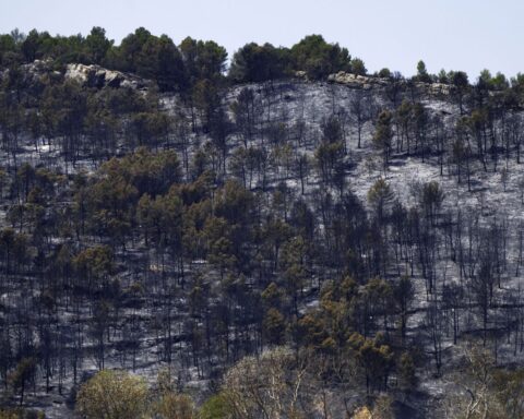 L'incendie de l'Aude sous contrôle, mais les pompiers restent en alerte