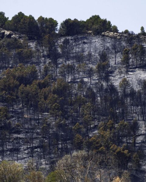L'incendie de l'Aude sous contrôle, mais les pompiers restent en alerte