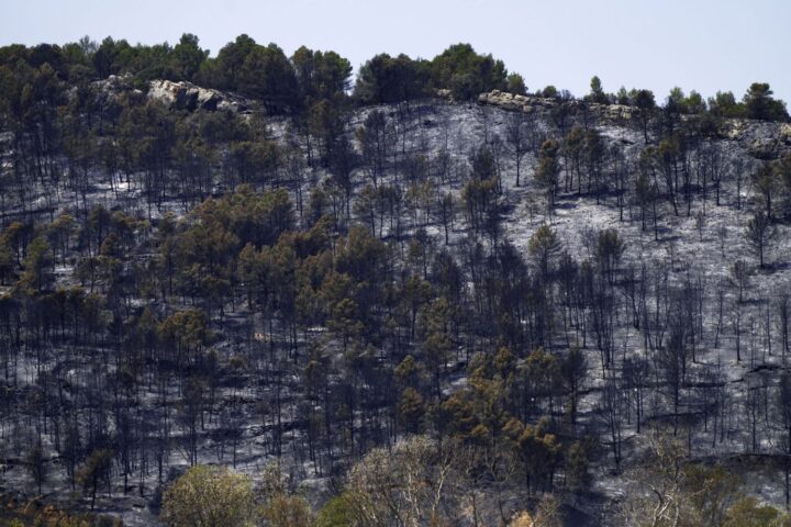 L'incendie de l'Aude sous contrôle, mais les pompiers restent en alerte