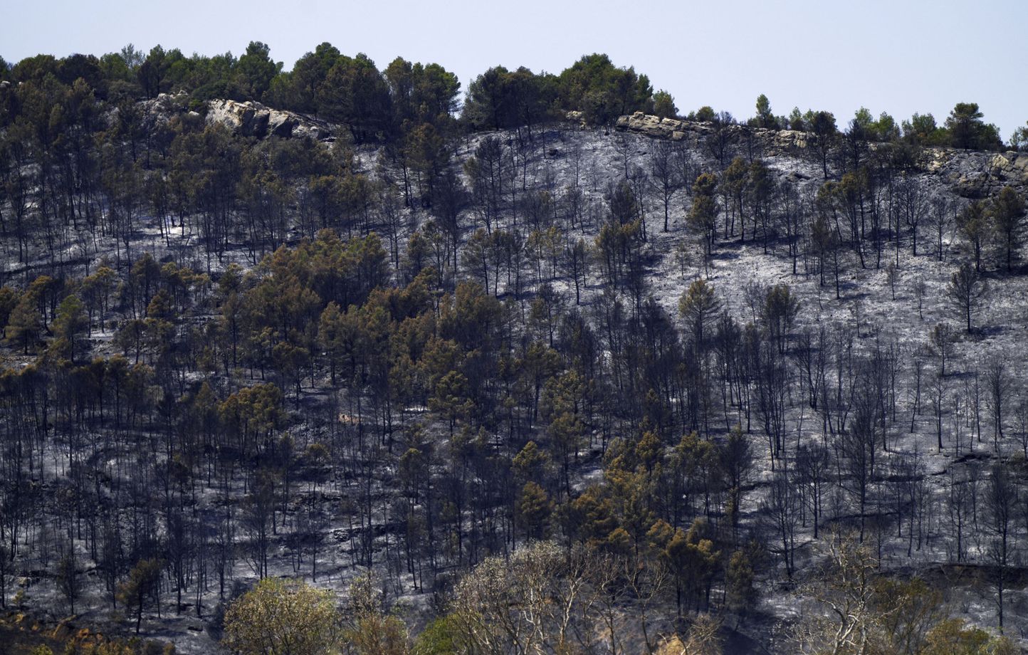 L'incendie de l'Aude sous contrôle, mais les pompiers restent en alerte