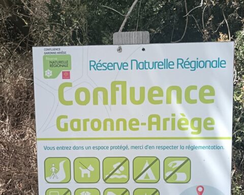 "Malgré l'interdiction, les Toulousains se rendent à Clermont-le-Fort pour échapper à la canicule"