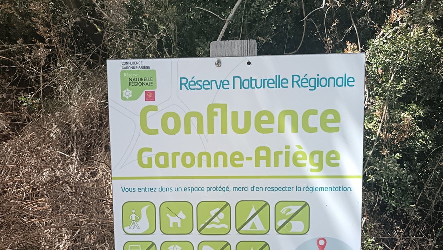 "Malgré l'interdiction, les Toulousains se rendent à Clermont-le-Fort pour échapper à la canicule"