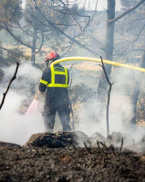 Près de 300 pompiers mobilisés pour maîtriser un incendie dans le Var