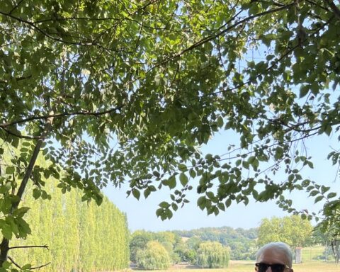 Trois chiens sans laisse provoquent la peur à Simorre dans le Gers