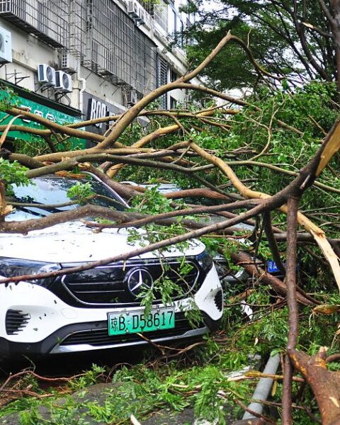 Typhon Kajiki : plus de 500 000 personnes évacuées au Vietnam avant son arrivée